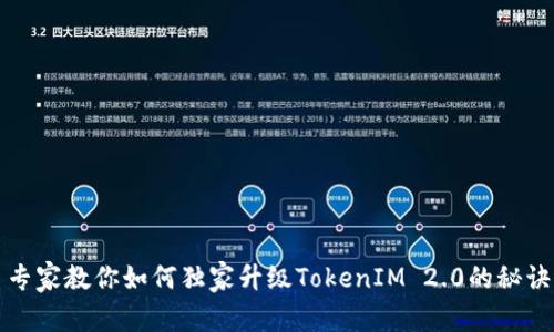 专家教你如何独家升级TokenIM 2.0的秘诀