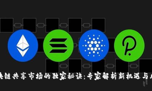 区块链共享市场的独家秘诀：专家解析新机遇与风险