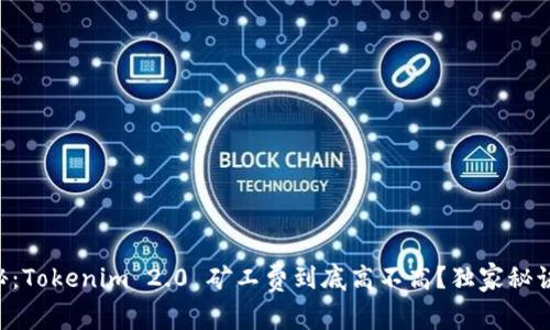 专家揭秘：Tokenim 2.0 矿工费到底高不高？独家秘诀告诉你！