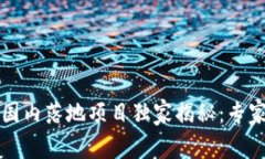 2023年区块链国内落地项目独家揭秘：专家分享六