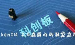 专家解密：TokenIM 2.0在国内的独家应用与发展秘诀