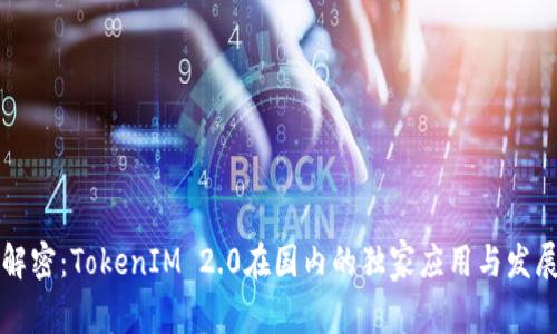 专家解密：TokenIM 2.0在国内的独家应用与发展秘诀