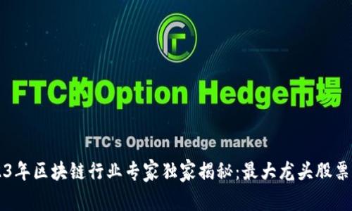 2023年区块链行业专家独家揭秘：最大龙头股票一览