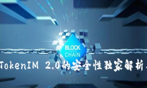专家揭秘：TokenIM 2.0的安全性独家解析与使用秘诀