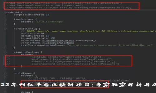 揭秘2023年网红平台区块链项目：专家独家分析与成功秘诀