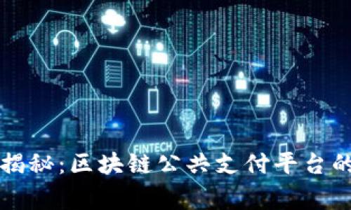 专家独家揭秘：区块链公共支付平台的五大秘诀