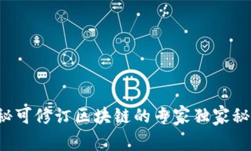 揭秘可修订区块链的专家独家秘诀！