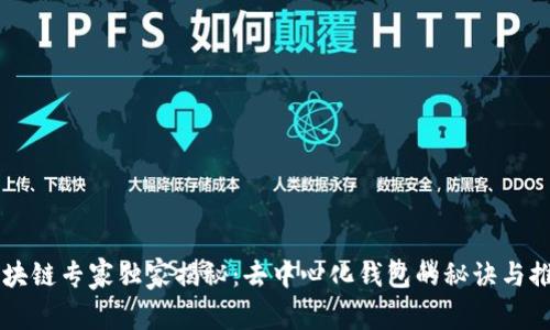 区块链专家独家揭秘：去中心化钱包的秘诀与推荐