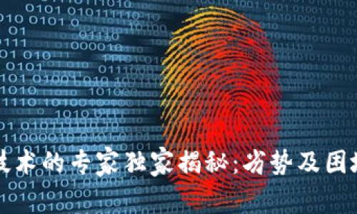 区块链技术的专家独家揭秘：劣势及困境大揭晓