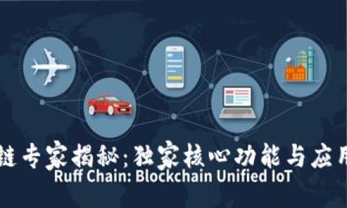 区块链专家揭秘：独家核心功能与应用秘诀