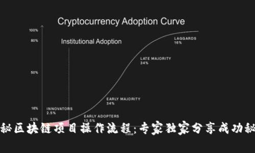 揭秘区块链项目操作流程：专家独家分享成功秘诀