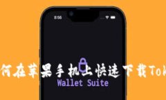 专家独家揭秘：如何在苹果手机上快速下载Toke