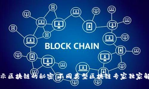 揭示区块链的秘密：不同类型区块链专家独家解析