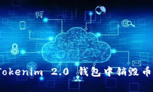 专家揭秘：Tokenim 2.0 钱包中销毁币的独家秘诀