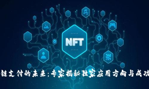 区块链支付的未来：专家揭秘独家应用方向与成功秘诀