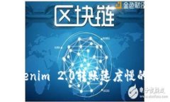 专家揭秘：Tokenim 2.0转账速度慢的独家解决秘诀