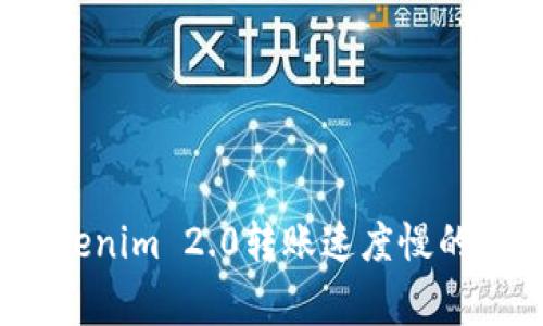 专家揭秘：Tokenim 2.0转账速度慢的独家解决秘诀