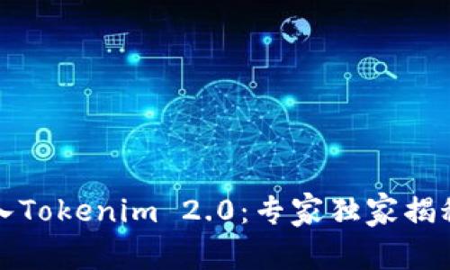 如何把人民币存入Tokenim 2.0：专家独家揭秘详细流程与技巧