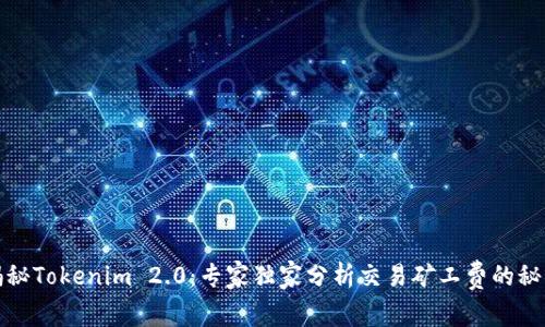 揭秘Tokenim 2.0：专家独家分析交易矿工费的秘诀