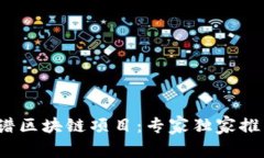 2023年最靠谱区块链项目：专家独家推荐与投资秘