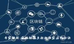 专家解析：区块链在乡村的独家应用秘诀