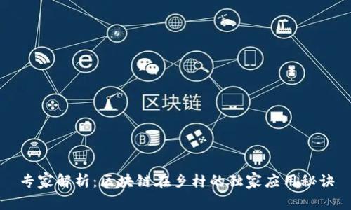 专家解析：区块链在乡村的独家应用秘诀