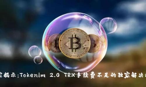 专家揭示：Tokenim 2.0 TRX手续费不足的独家解决秘诀