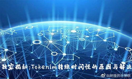 专家独家揭秘：Tokenim转账时间慢的原因与解决秘诀