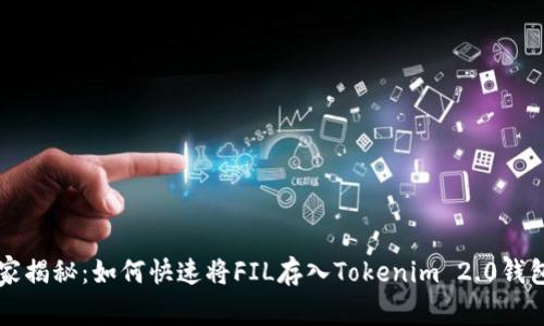 专家独家揭秘：如何快速将FIL存入Tokenim 2.0钱包的秘诀