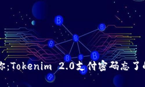 专家告诉你：Tokenim 2.0支付密码忘了的独家秘诀