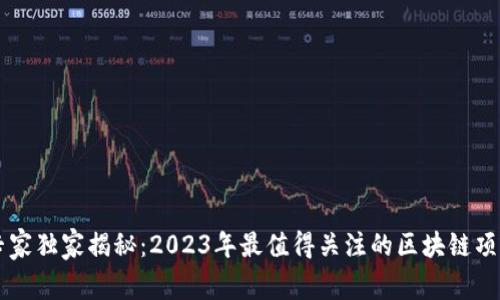 区块链专家独家揭秘：2023年最值得关注的区块链项目与秘笈