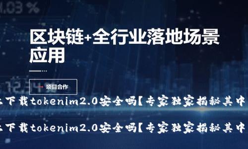 百度上下载tokenim2.0安全吗？专家独家揭秘其中的秘诀

百度上下载tokenim2.0安全吗？专家独家揭秘其中的秘诀
