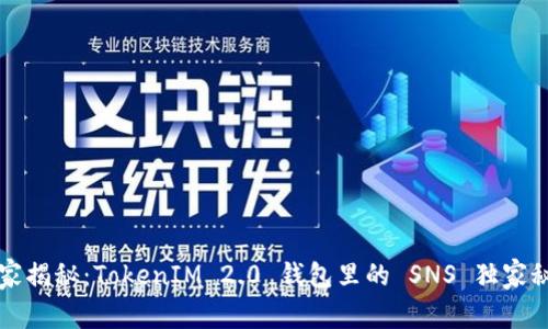 专家揭秘：TokenIM 2.0 钱包里的 SNS 独家秘诀