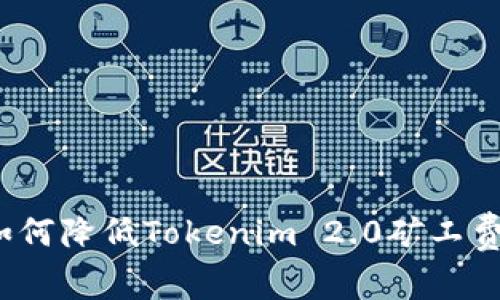 专家揭秘：如何降低Tokenim 2.0矿工费的独家秘诀