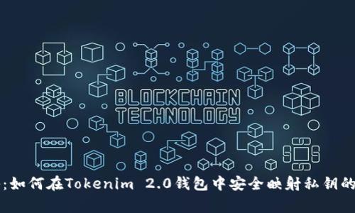 专家揭秘：如何在Tokenim 2.0钱包中安全映射私钥的独家秘诀