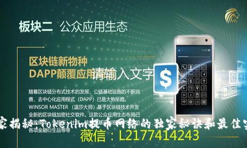 专家揭秘：Tokenim提币网络的独家秘诀和最佳实践