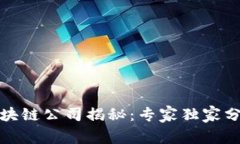 全球知名的区块链公司揭秘：专家独家分享的成