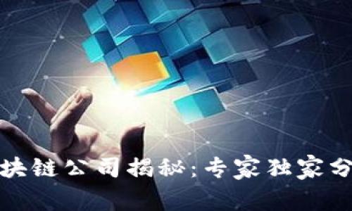 全球知名的区块链公司揭秘：专家独家分享的成功秘诀