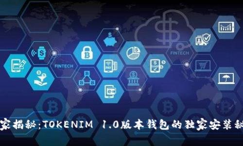 专家揭秘：TOKENIM 1.0版本钱包的独家安装秘诀