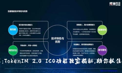 专家分享：TokenIM 2.0 ICO功能独家揭秘，助你抓住投资机遇