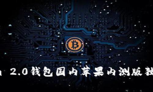 专家揭秘：Tokenim 2.0钱包国内苹果内测版独家测评与使用秘诀