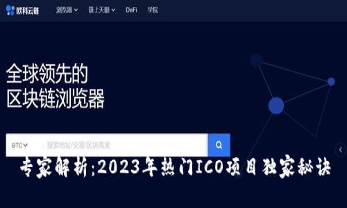 专家解析：2023年热门ICO项目独家秘诀