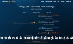 揭秘区块链领域的顶尖诈骗事件：专家独家解析