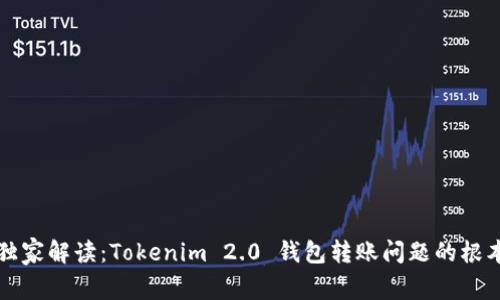专家独家解读：Tokenim 2.0 钱包转账问题的根本秘诀