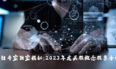 区块链专家独家揭秘：2023年龙头股概念股票全解