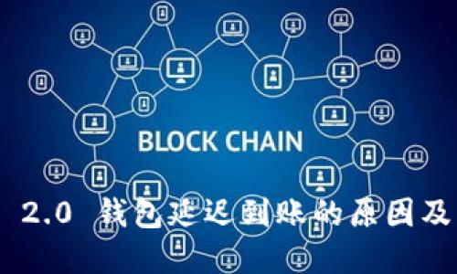 Tokenim 2.0 钱包延迟到账的原因及解决方案