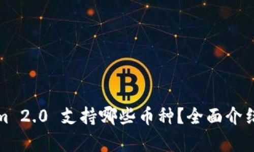 Tokenim 2.0 支持哪些币种？全面介绍与分析