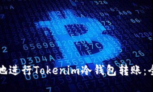 如何安全地进行Tokenim冷钱包转账：全方位指南