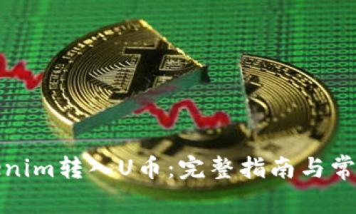 如何将Tokenim转入U币：完整指南与常见问题解答