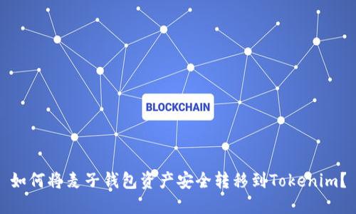 如何将麦子钱包资产安全转移到Tokenim？
